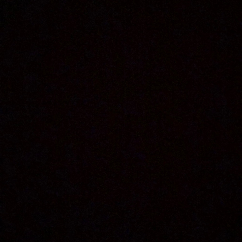 Meet your Posher, Abigail